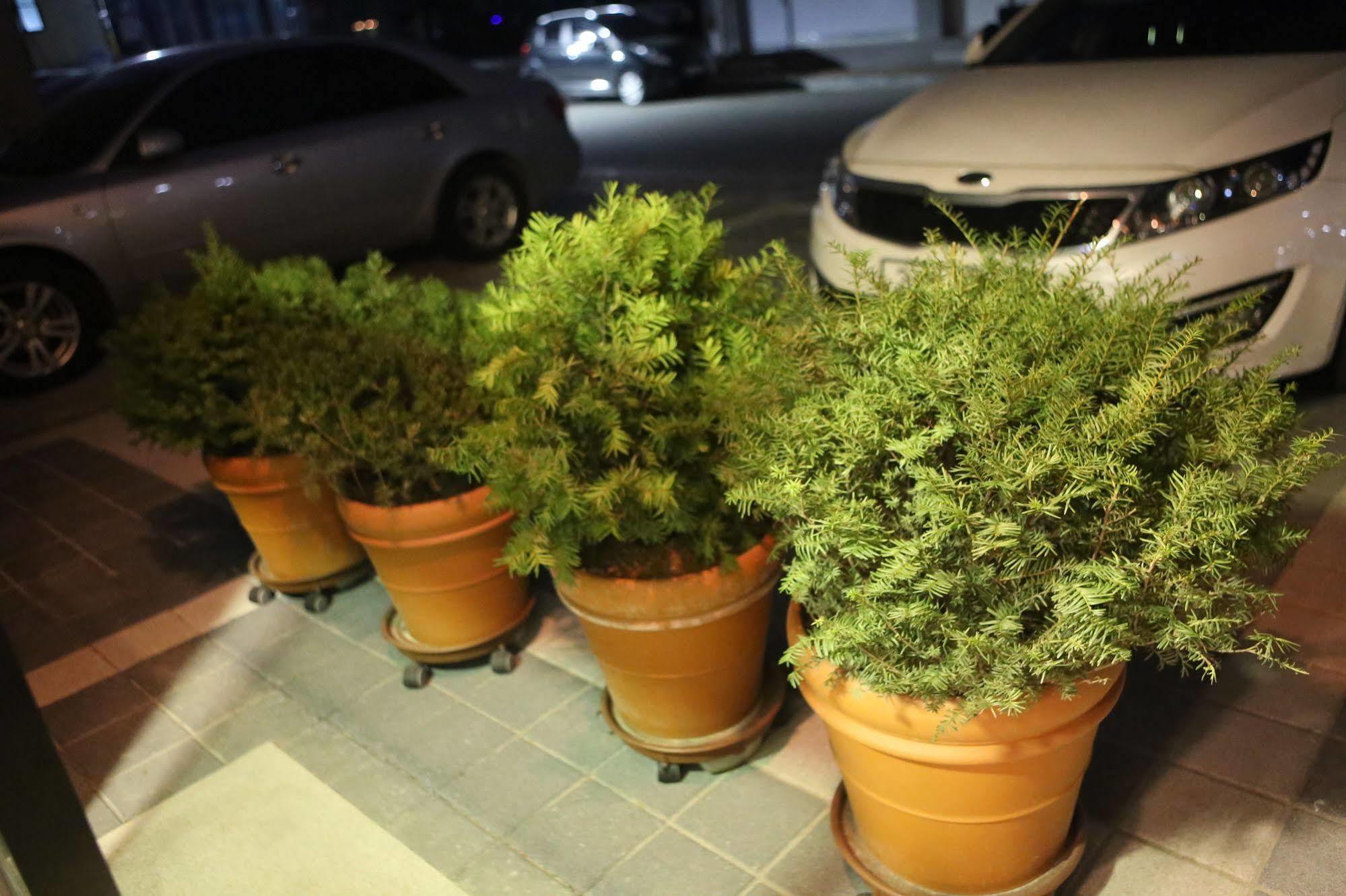 Welcome House Suwon Exterior foto